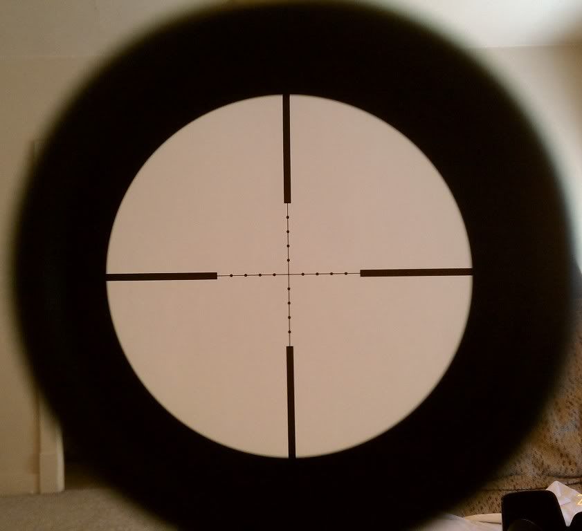 IMAG0071.jpg