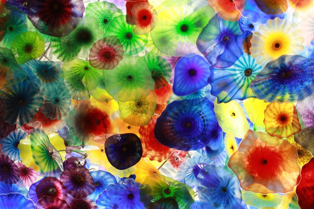 IMAGE: http://i778.photobucket.com/albums/yy63/Dutch2pics/IMG_6047.jpg