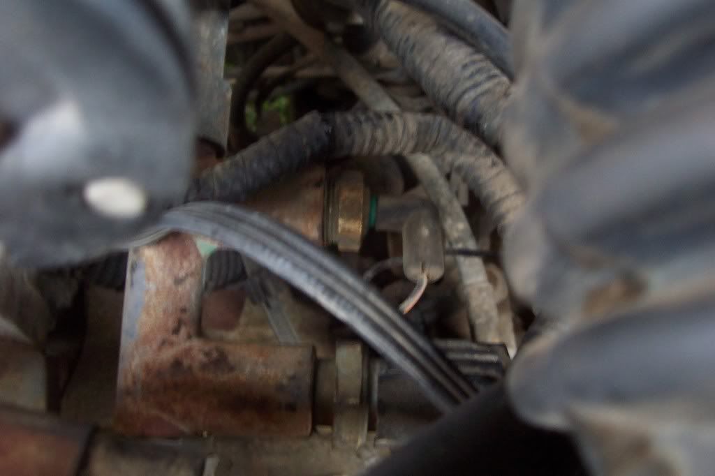 Cooling fan problems. | FEOA Forums