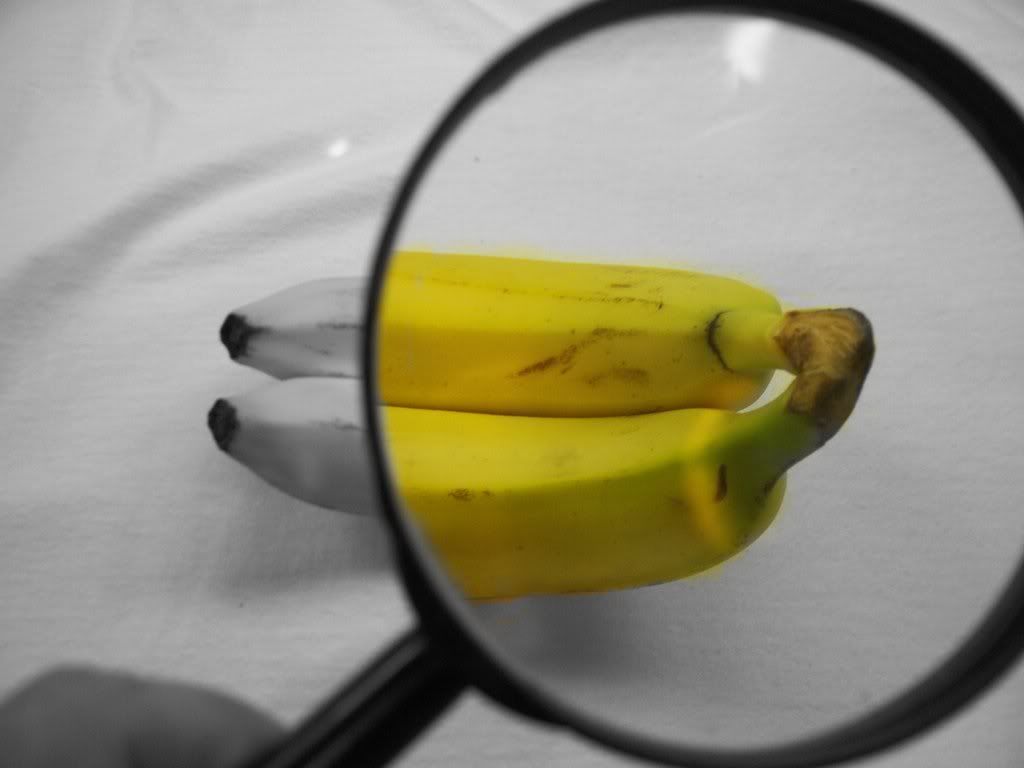 Bananas.jpg Bananas image by Davidaj65