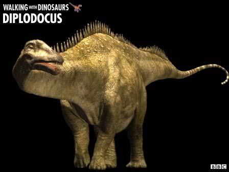 diplodocus Pictures, Images and Photos