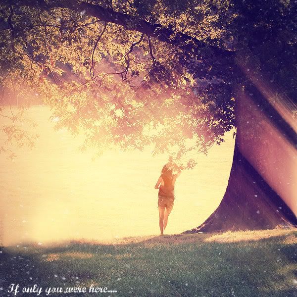 If only you were here.... Pictures, Images and Photos