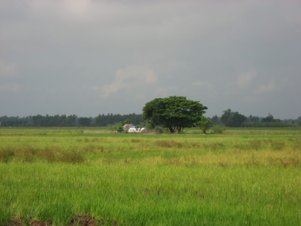 Miền tây lúa giao lưu cùng 3 miền nè anh em - 3