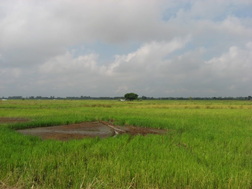 Miền tây lúa giao lưu cùng 3 miền nè anh em - 2