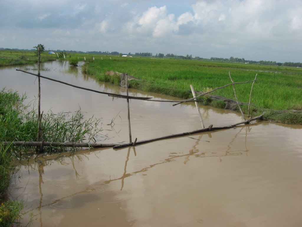 Miền tây lúa giao lưu cùng 3 miền nè anh em