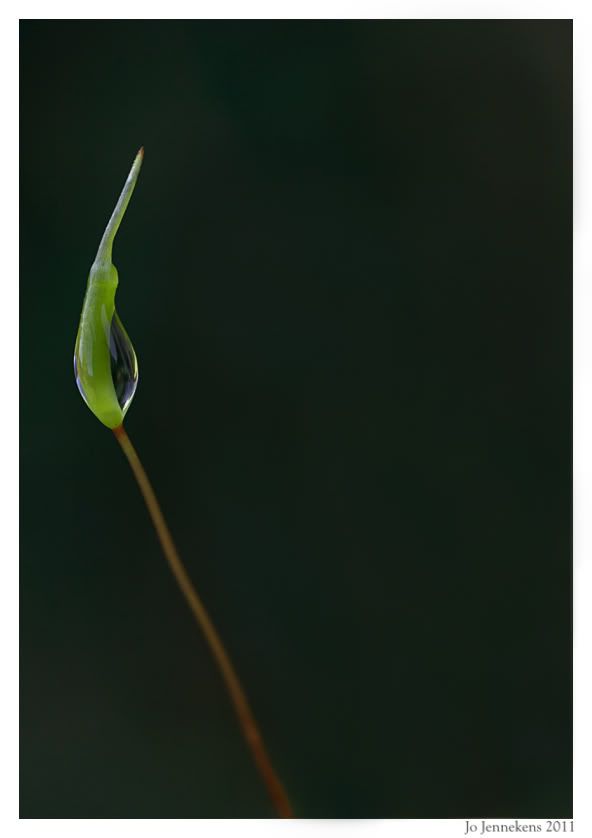 Fotografie