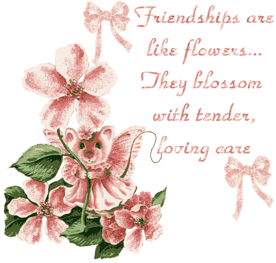 Beautiful Pictures, Images and Photos
