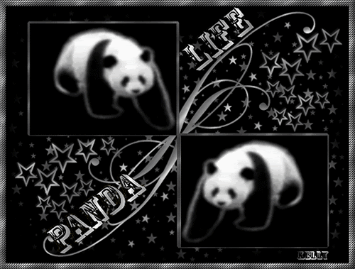 69a01251.gif Black and White image by amyjayne10