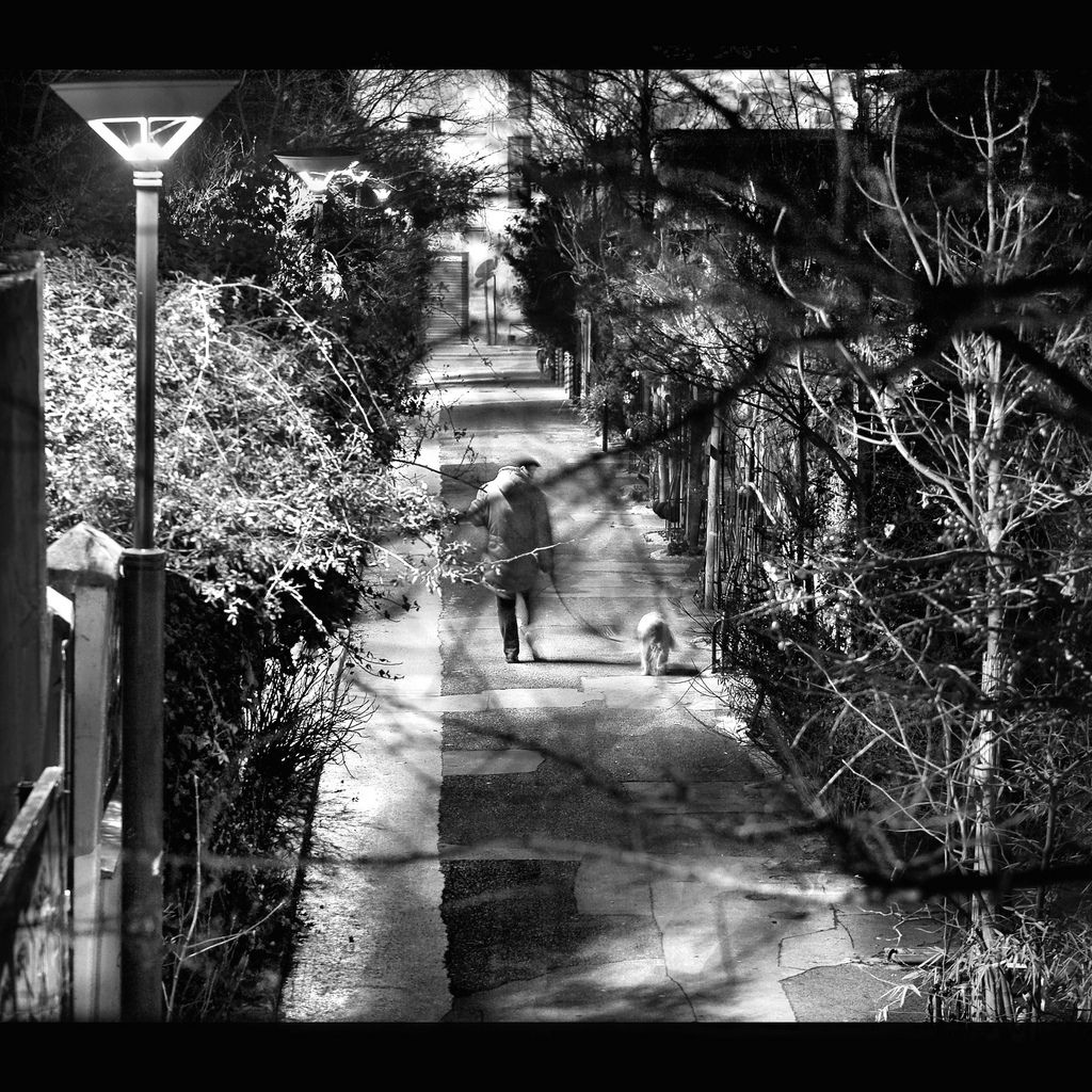 Your best friend will go anywhere with you