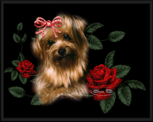 6be8eb3e.gif Dogs image by amyjayne10