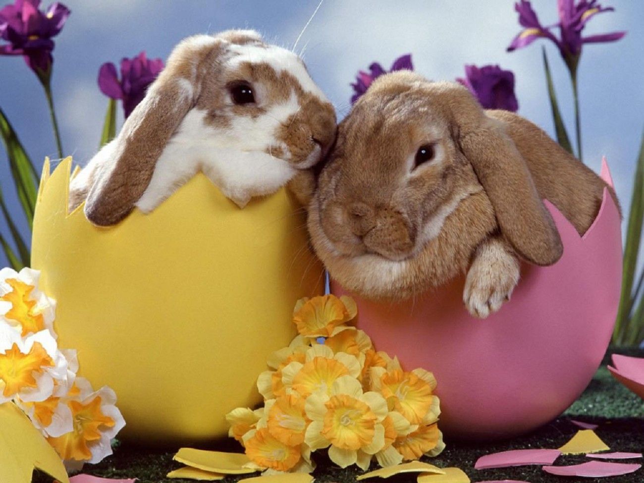 Easter Pictures, Images and Photos