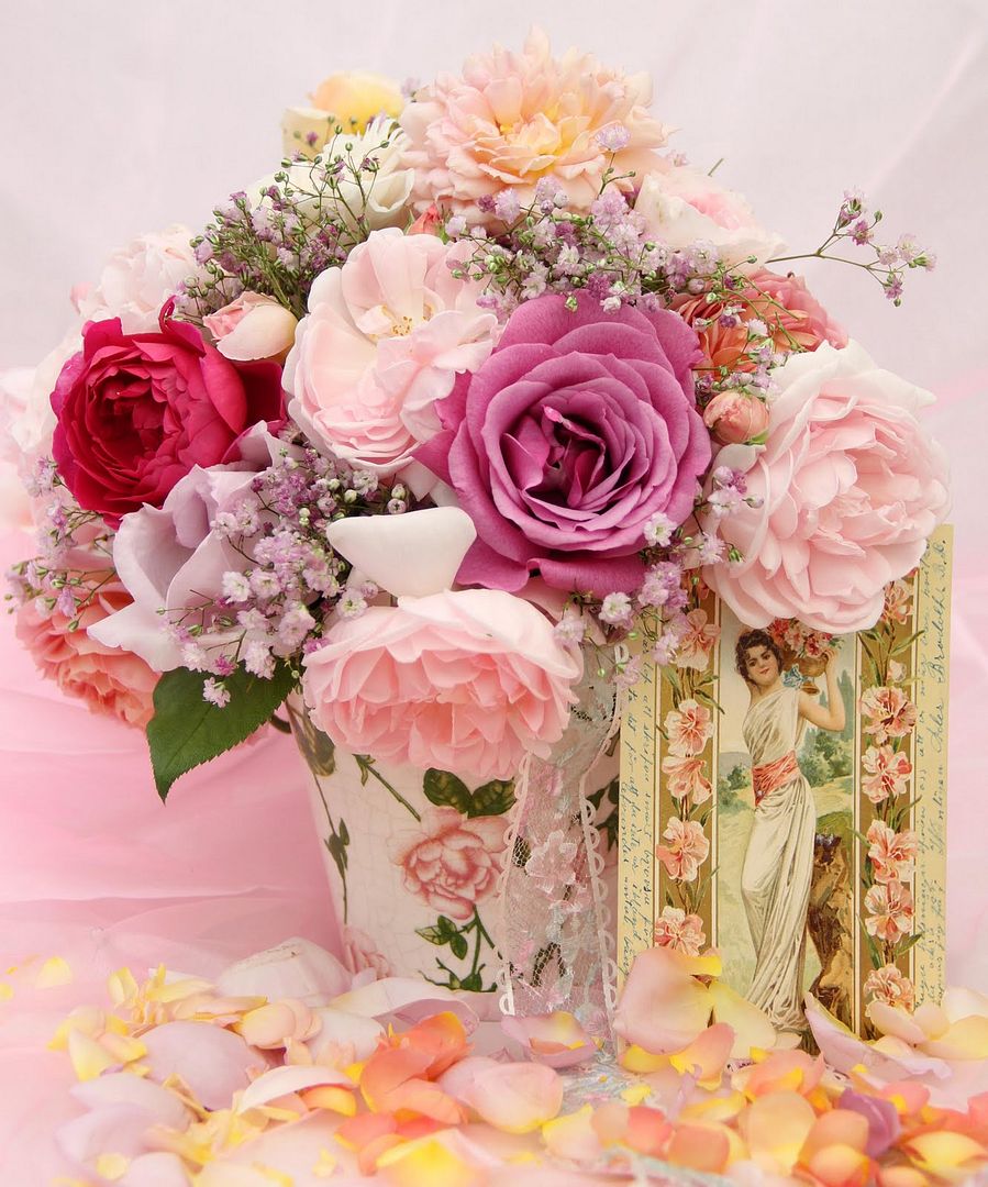 Flowers Pictures, Images and Photos
