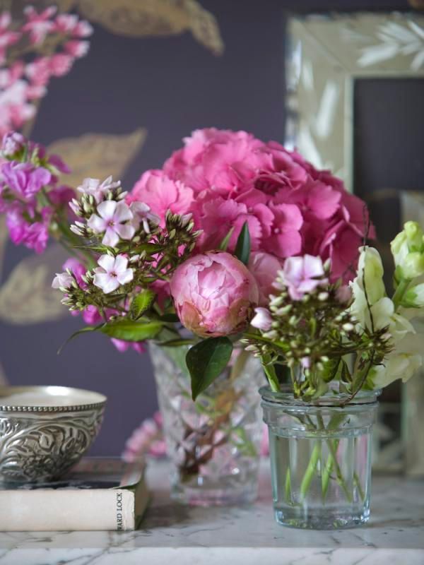 Flowers Pictures, Images and Photos