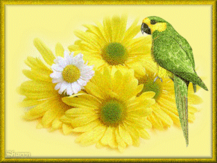 fc4e43a7.gif Yellow image by amyjayne10