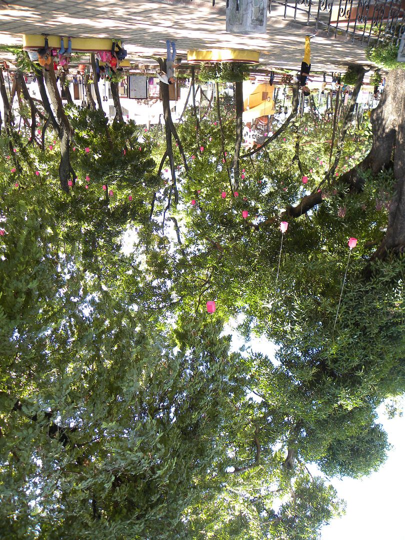 DSCN3576_zpsb3cd165b.jpg