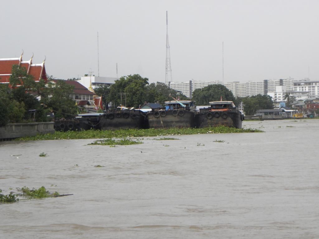 ThailandSept2012PT1732_zpscfa70edd.jpg