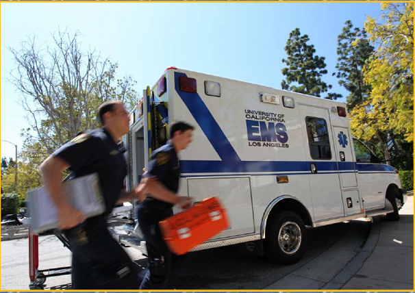 UCLAEMS.png