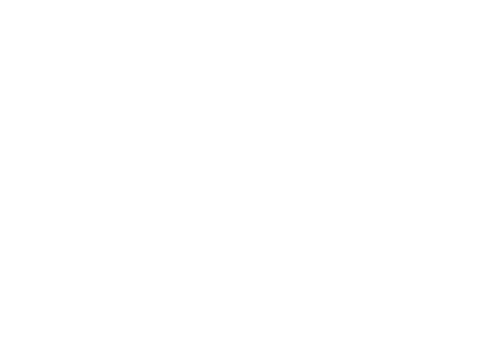 Team Swoosh logo designed by Tsunami Graphics