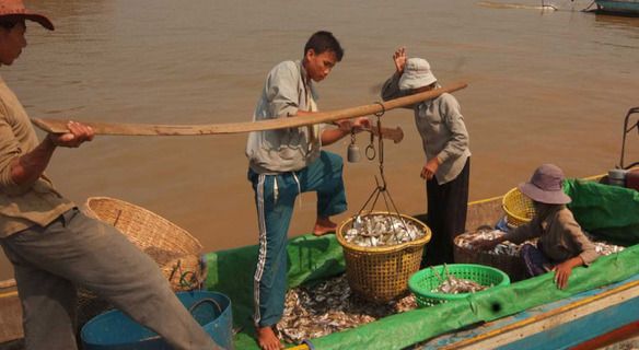 Fishing on Tonle Sap River, Siemreap, Cambodia