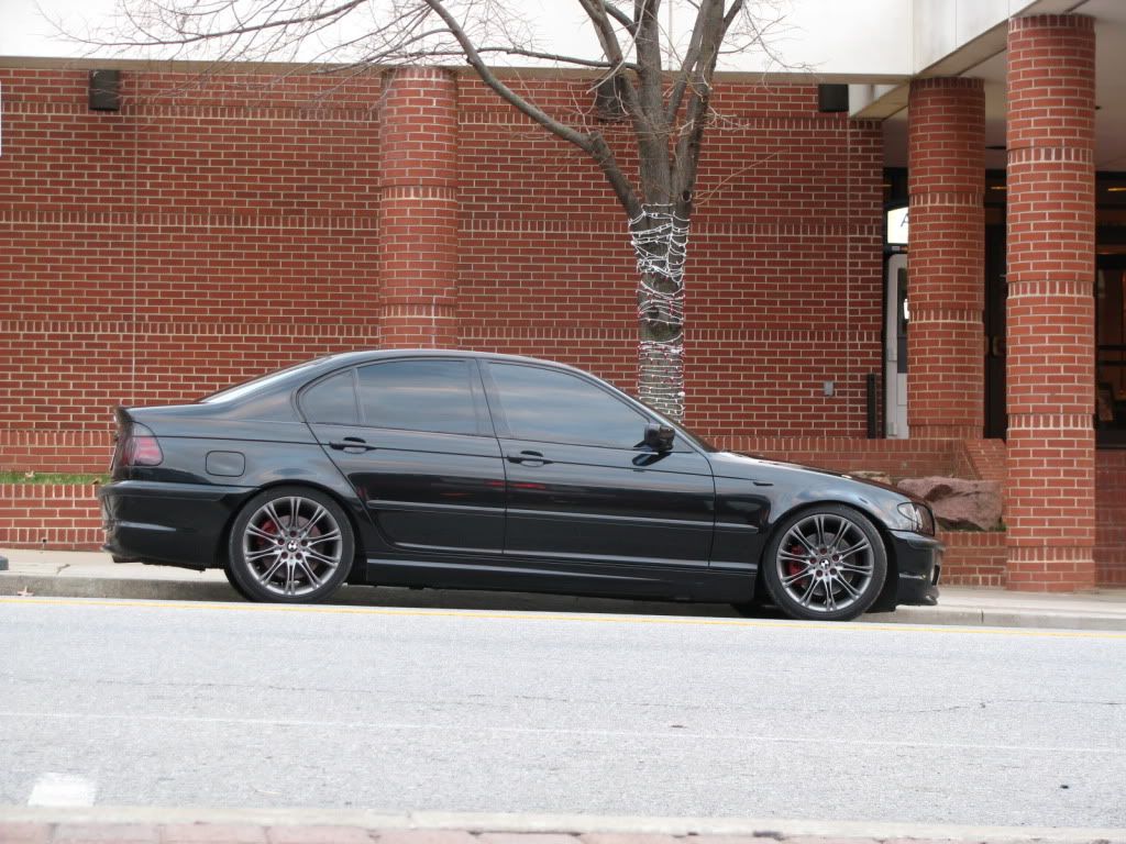 Bmw 330i blacked out #6