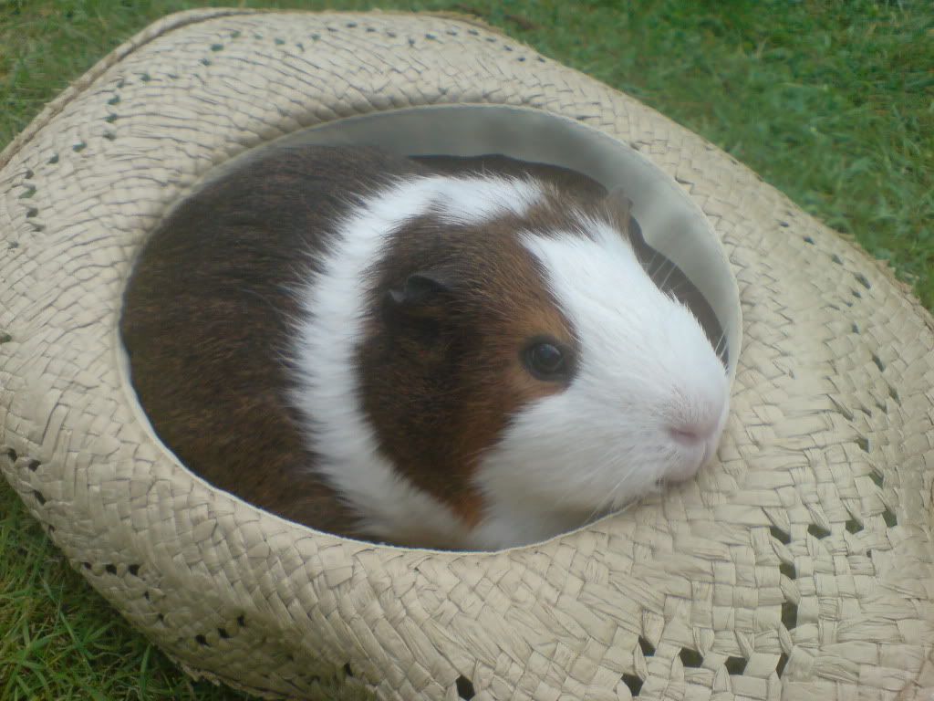 DSC02925.jpg