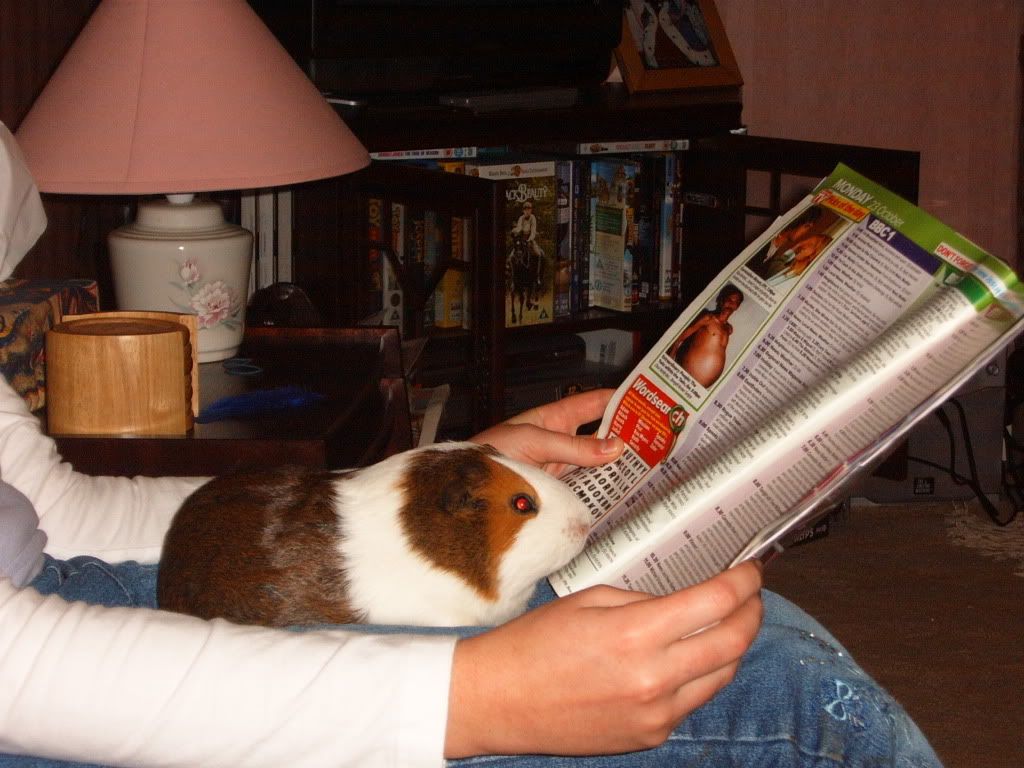Picture033.jpg